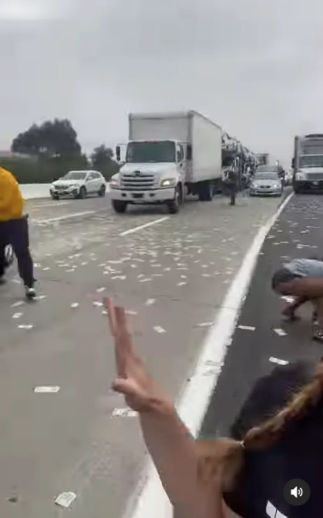 Une pluie de billets sur l'autoroute